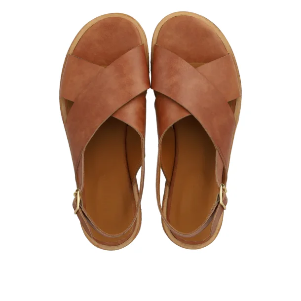 Angulus sandal - tan 5637-101