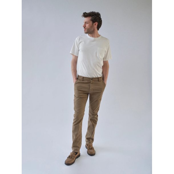 Blue de genes Paulo Pavia 1 V2 chino - fungi 60710