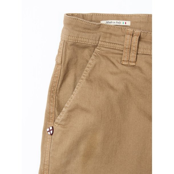 Blue de genes Paulo Pavia 1 V2 chino - fungi 60710