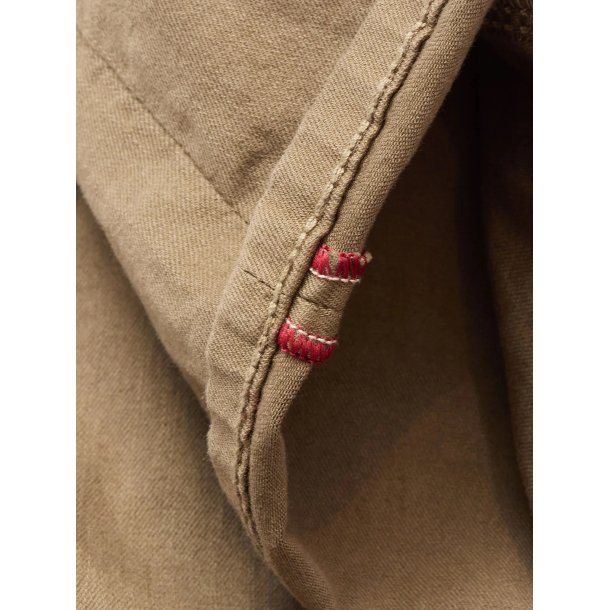 Blue de genes Paulo Pavia 1 V2 chino - fungi 60710