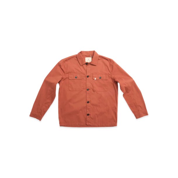 Blue de genes BGpontus Teo - copper brown 60648