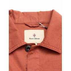 Blue de genes BGpontus Teo - copper brown 60648