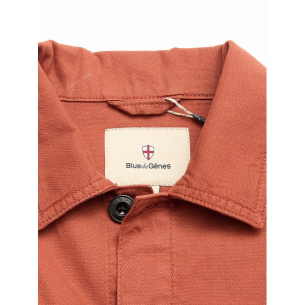 Blue de genes BGpontus Teo - copper brown 60648