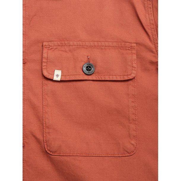 Blue de genes BGpontus Teo - copper brown 60648