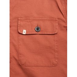 Blue de genes BGpontus Teo - copper brown 60648