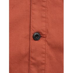 Blue de genes BGpontus Teo - copper brown 60648