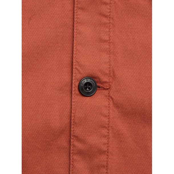 Blue de genes BGpontus Teo - copper brown 60648