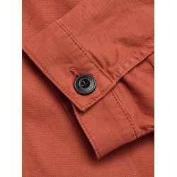 Blue de genes BGpontus Teo - copper brown 60648