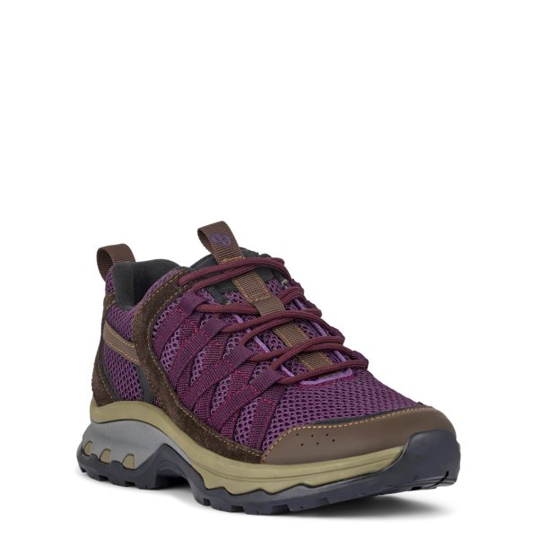 Green Comfort London Lourdes - blomme 231006Q81 