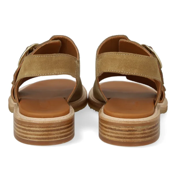Angulus sandal - sand 5822-102