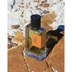 GOLDFIELD &amp; BANKS 100ml  - wood infusion