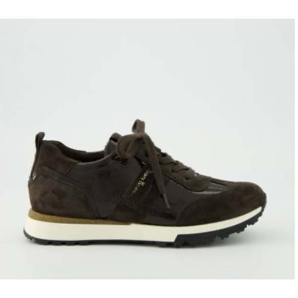 Paul Green sneakers - mocca/moro 5392-161