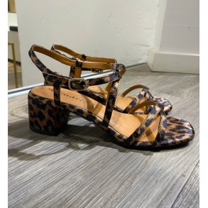 Tamaris pump - leo 1-28204-42