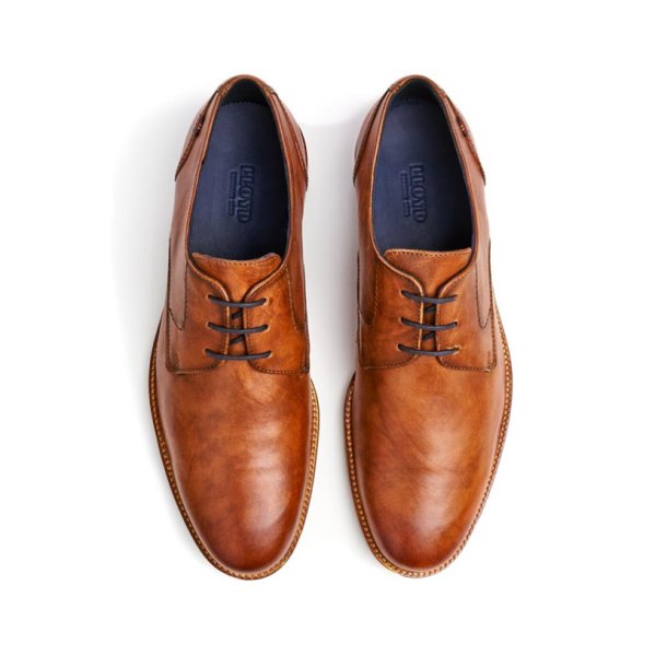 LLoyd Langston - brun 12-019