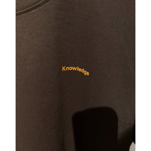Knowledge Cotton Regenerative organic cotton back print t-shirt - chocolate torte 1010169