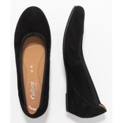 Gabor pump - sort  02.690.47